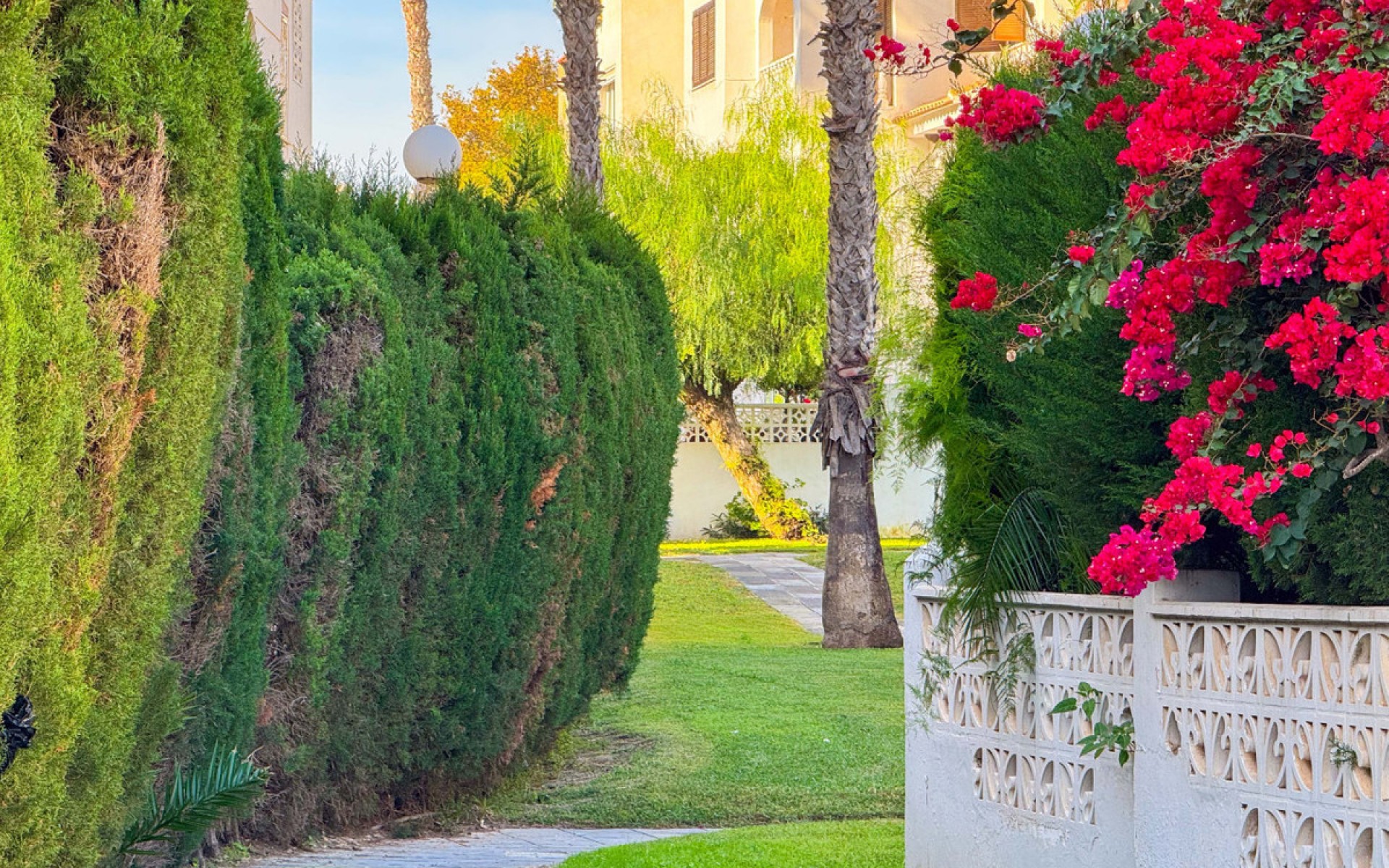 zum Verkauf - Apartment - Torrevieja - Torrevieja Centro