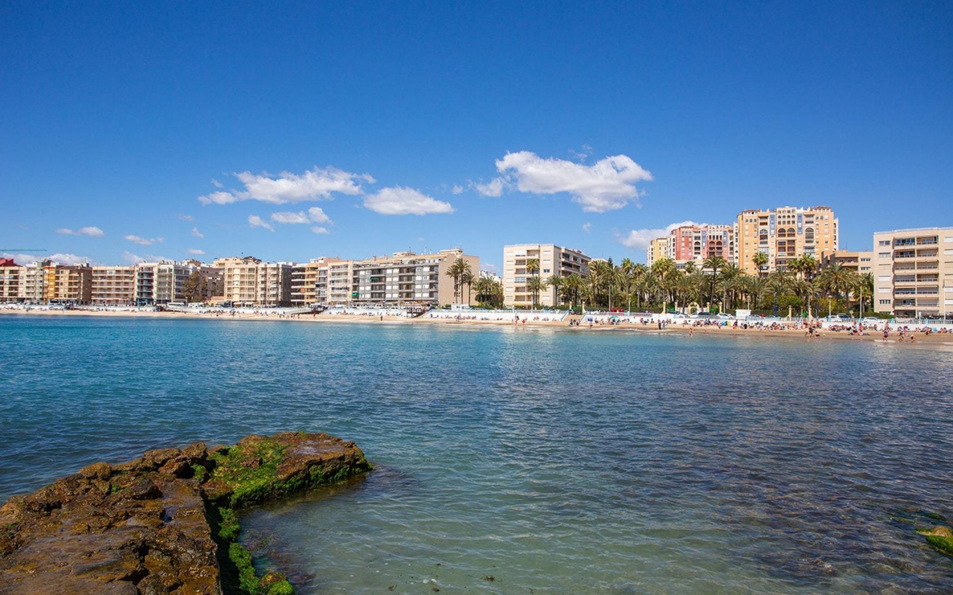 zum Verkauf - Apartment - Torrevieja - Torrevieja Centro