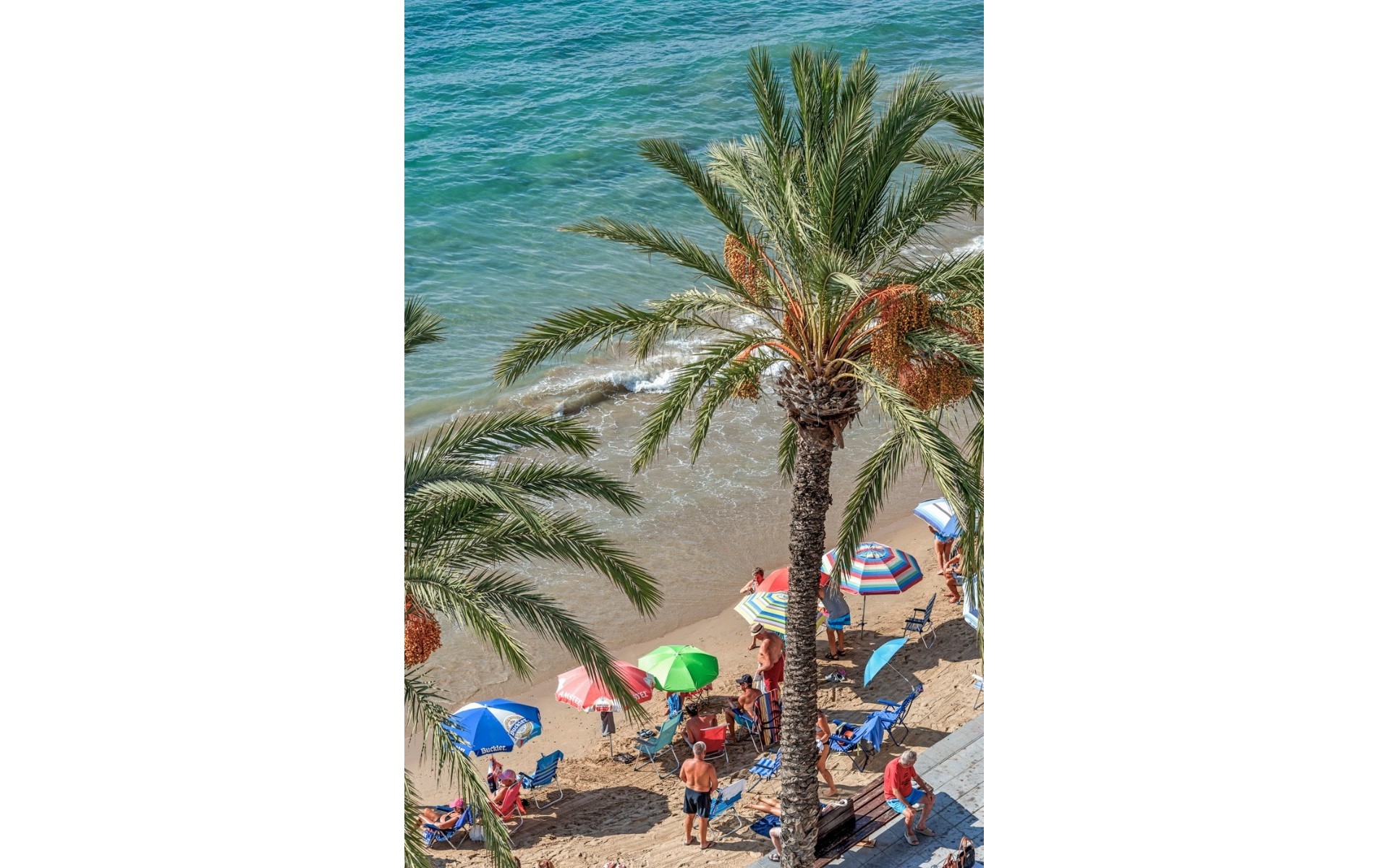 zum Verkauf - Apartment - Torrevieja - Torrevieja Centro
