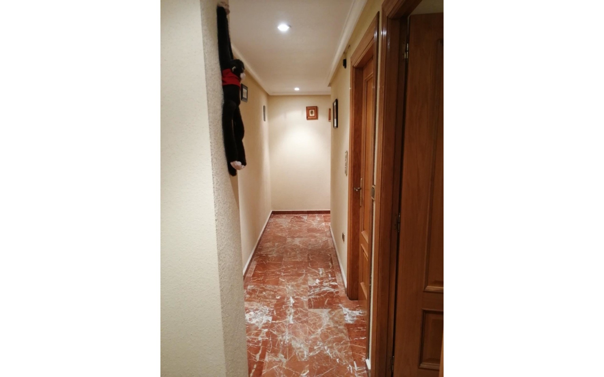zum Verkauf - Apartment - Torrevieja - Torrevieja Centro