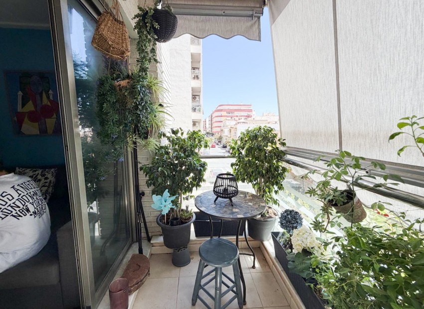 zum Verkauf - Apartment - Torrevieja - Torrevieja Centro