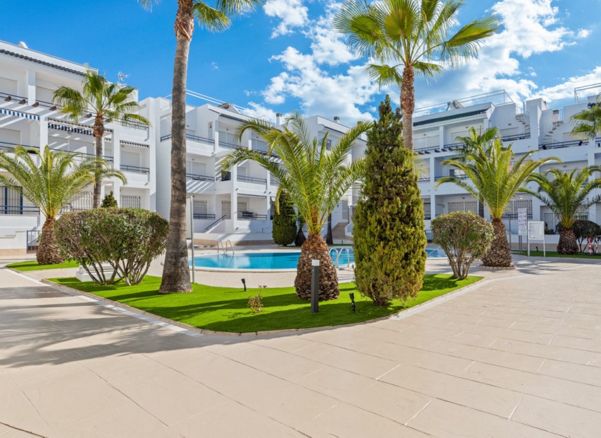 zum Verkauf - Apartment - Torrevieja - Torrevieja Centro