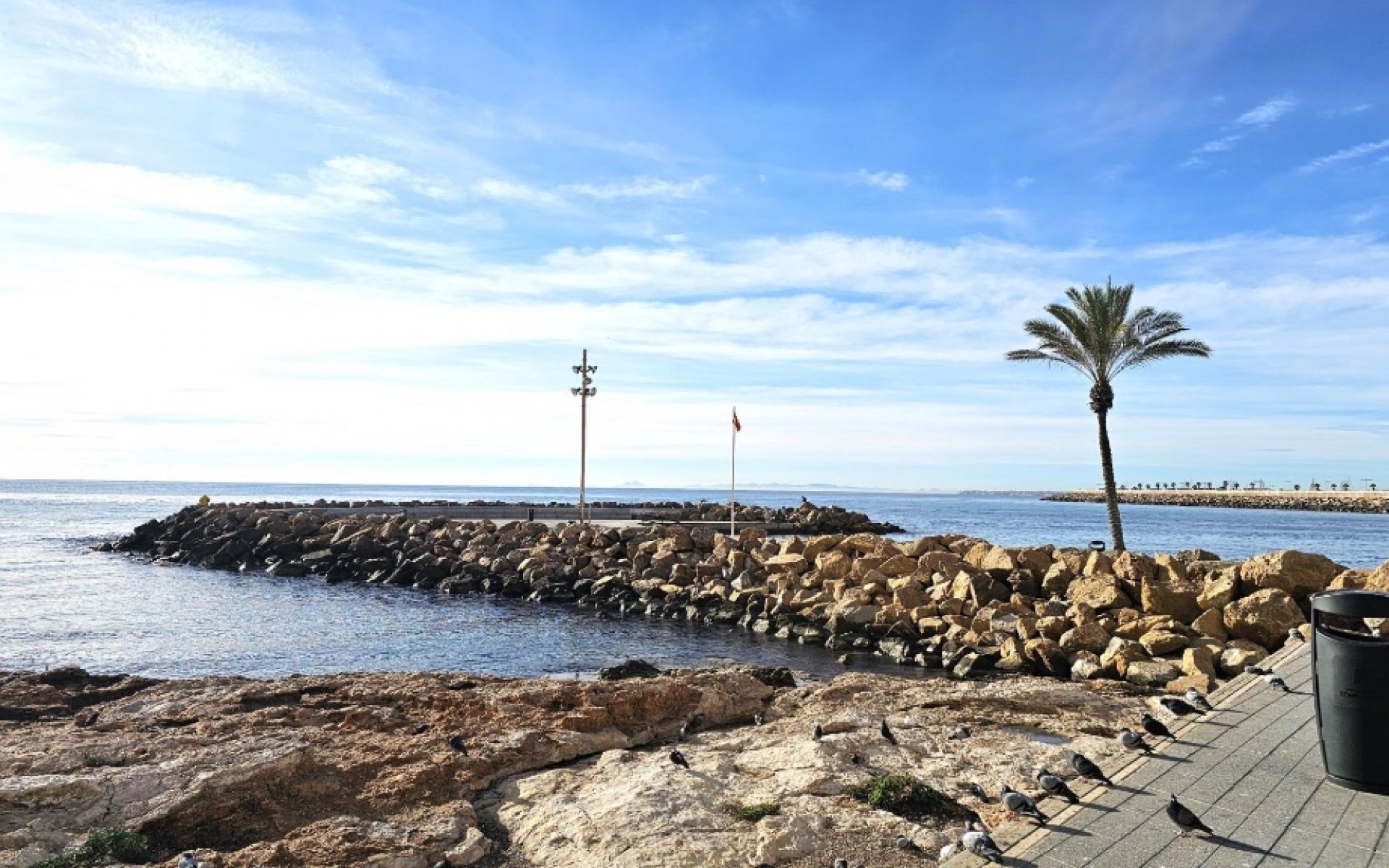 zum Verkauf - Apartment - Torrevieja