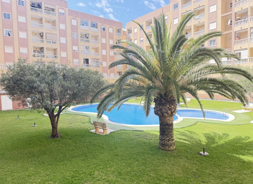 zum Verkauf - Apartment - Torrevieja