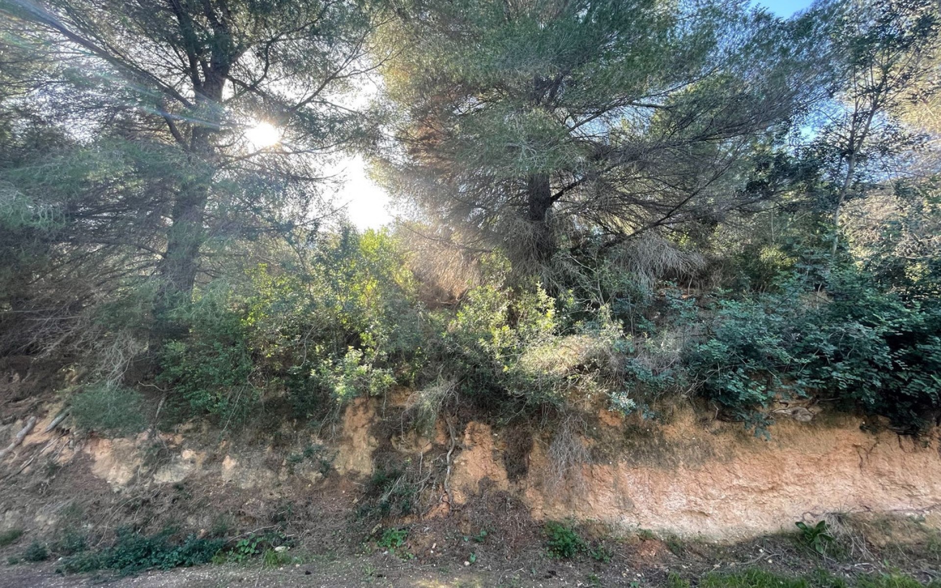 zum Verkauf - Land - BenIssa - Benissa Centro