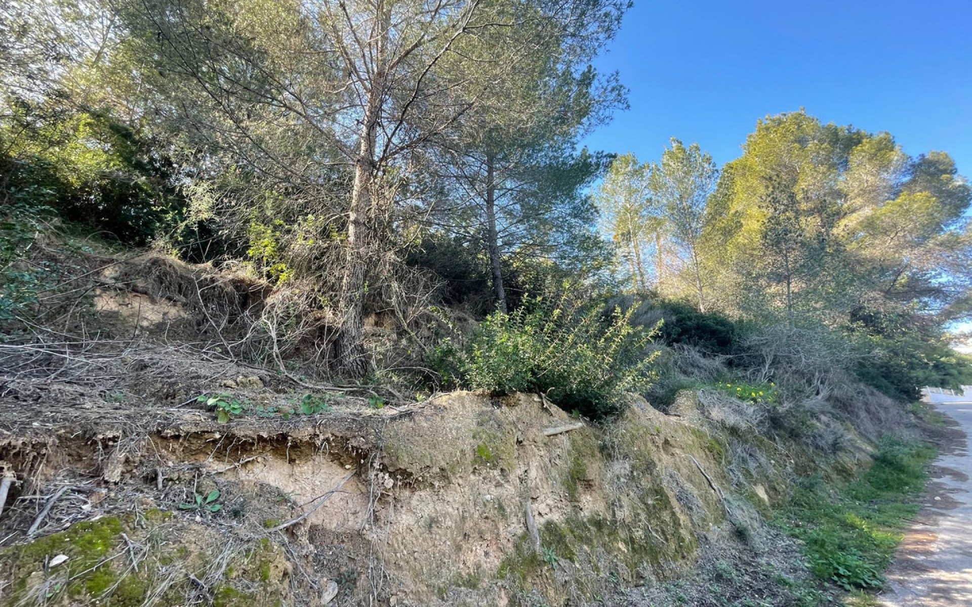 zum Verkauf - Land - BenIssa - Benissa Centro