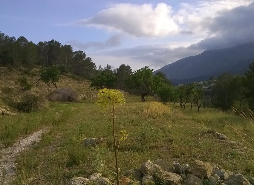 zum Verkauf - Land - BenIssa - Benissa Centro