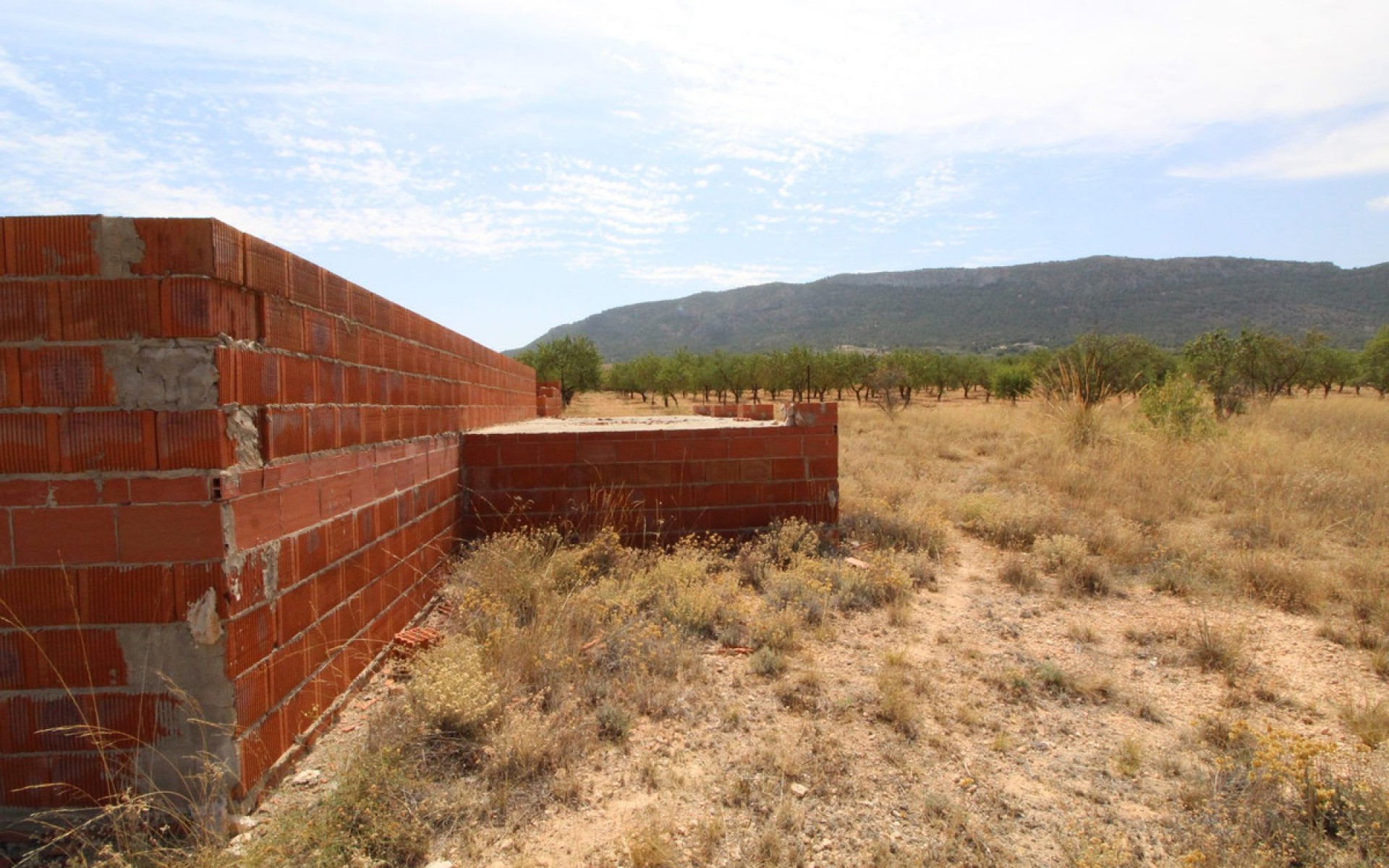 zum Verkauf - Land - Biar - Biar Centro