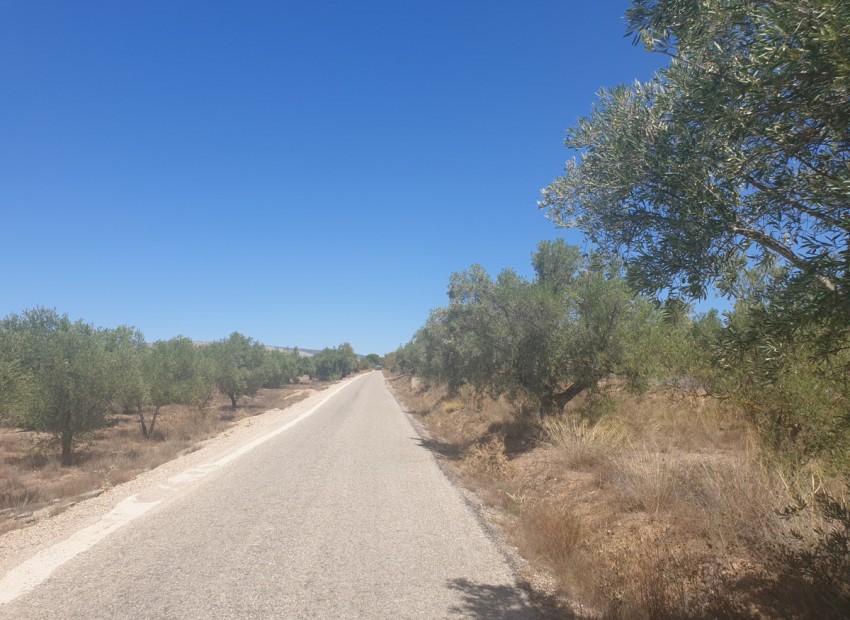 zum Verkauf - Land - Biar - Biar Centro