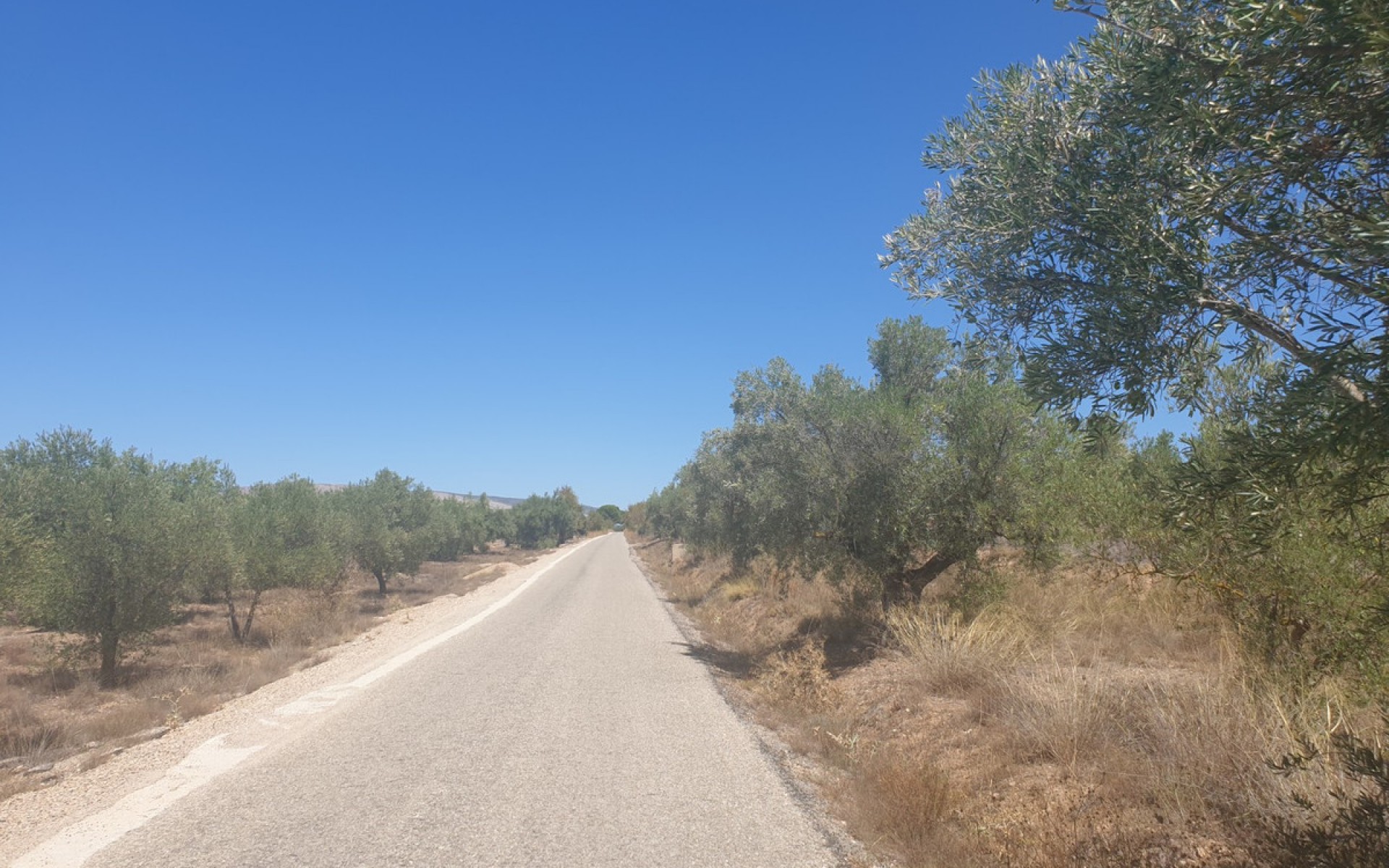 zum Verkauf - Land - Biar - Biar Centro