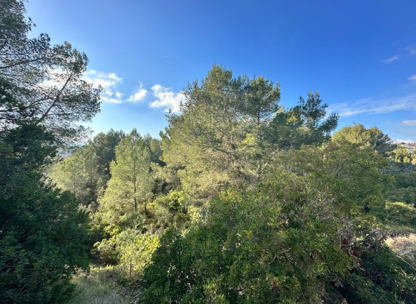 zum Verkauf - Land - Calpe - Calpe Centro