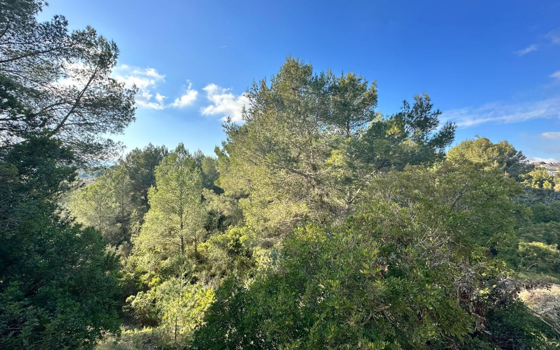 zum Verkauf - Land - Calpe - Calpe Centro