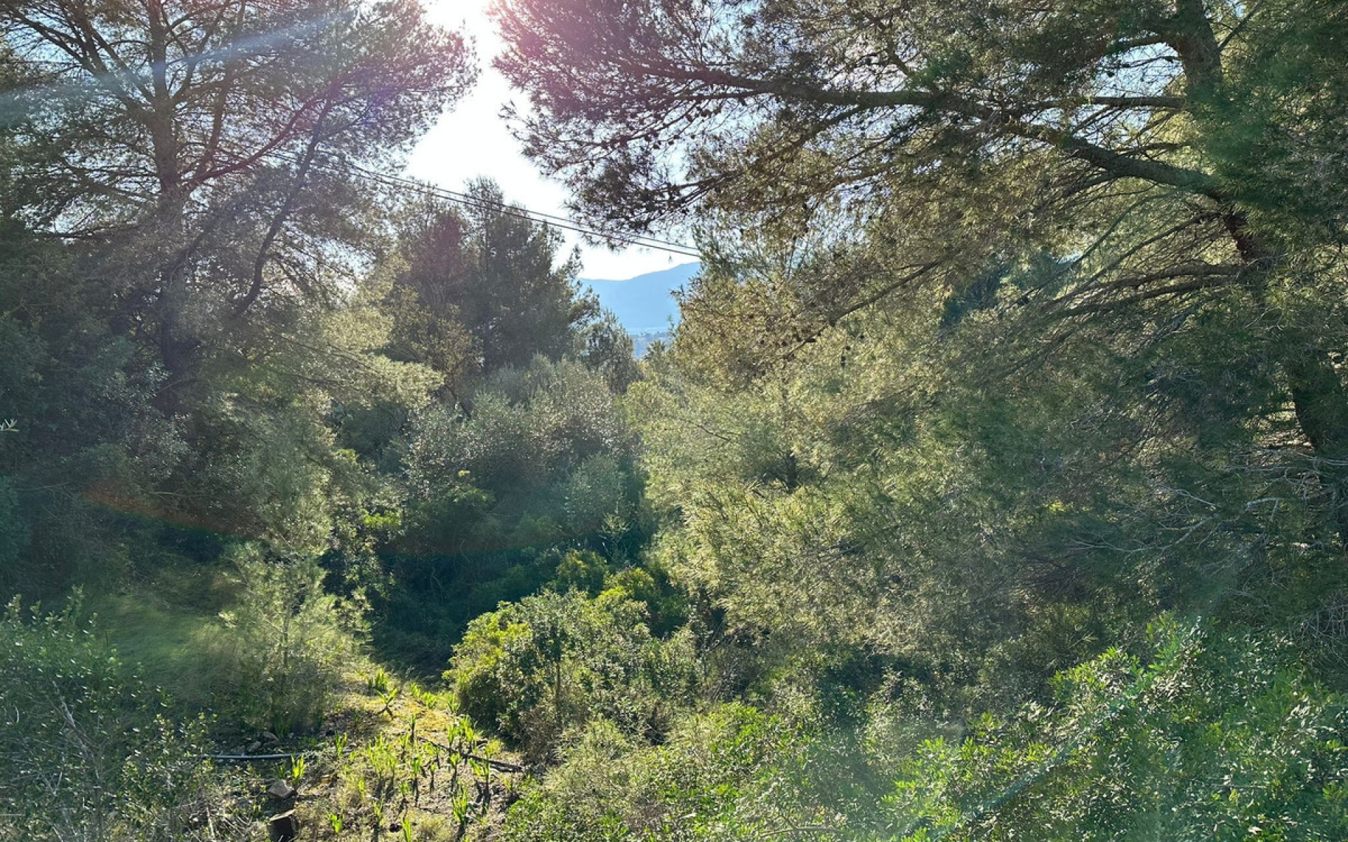 zum Verkauf - Land - Calpe - Calpe Centro