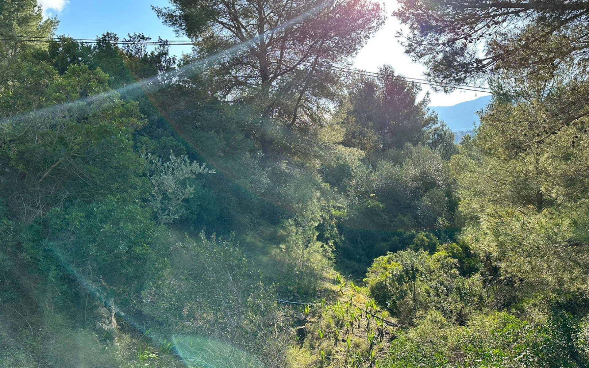 zum Verkauf - Land - Calpe - Calpe Centro