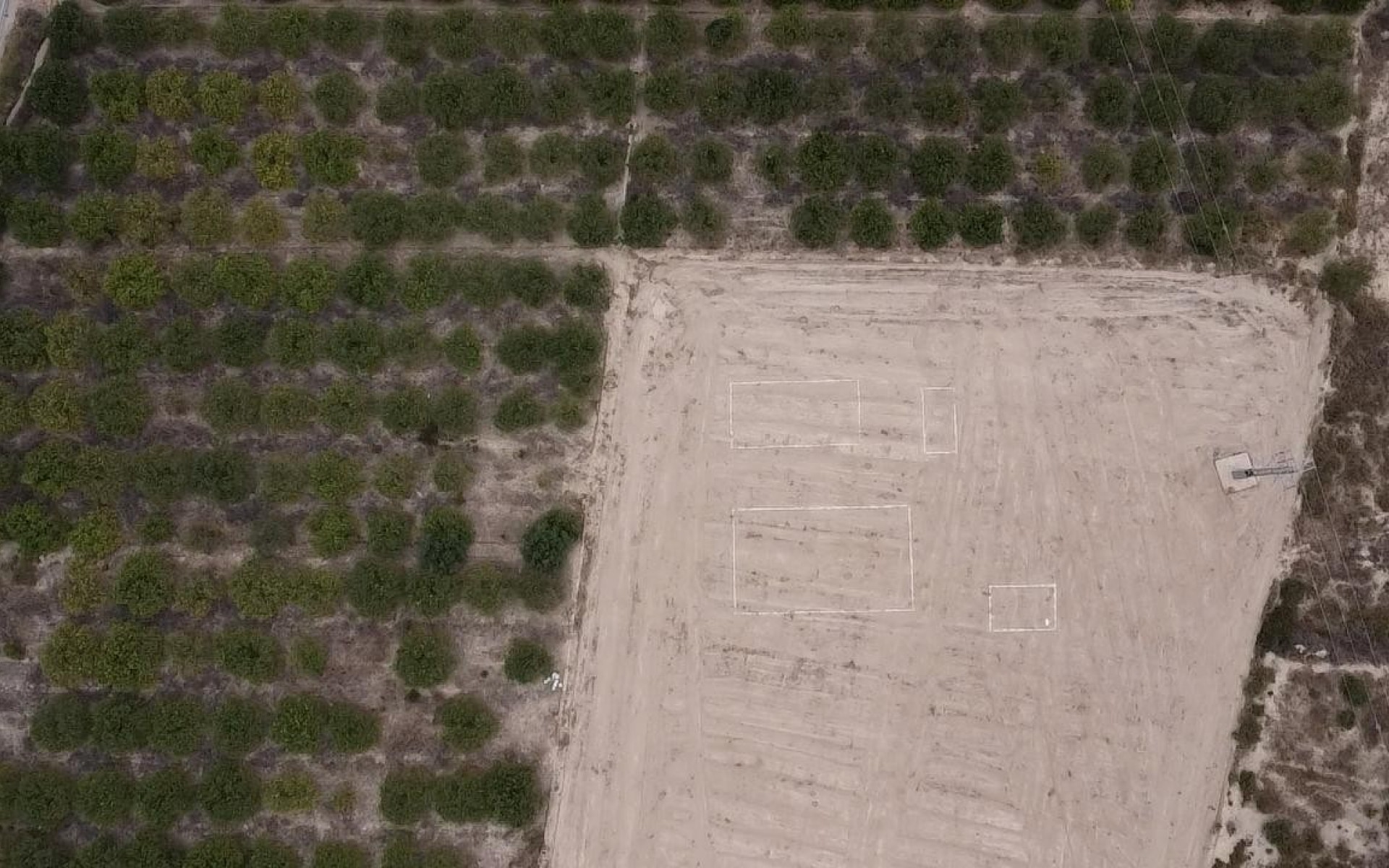 zum Verkauf - Land - Elche - La Hoya