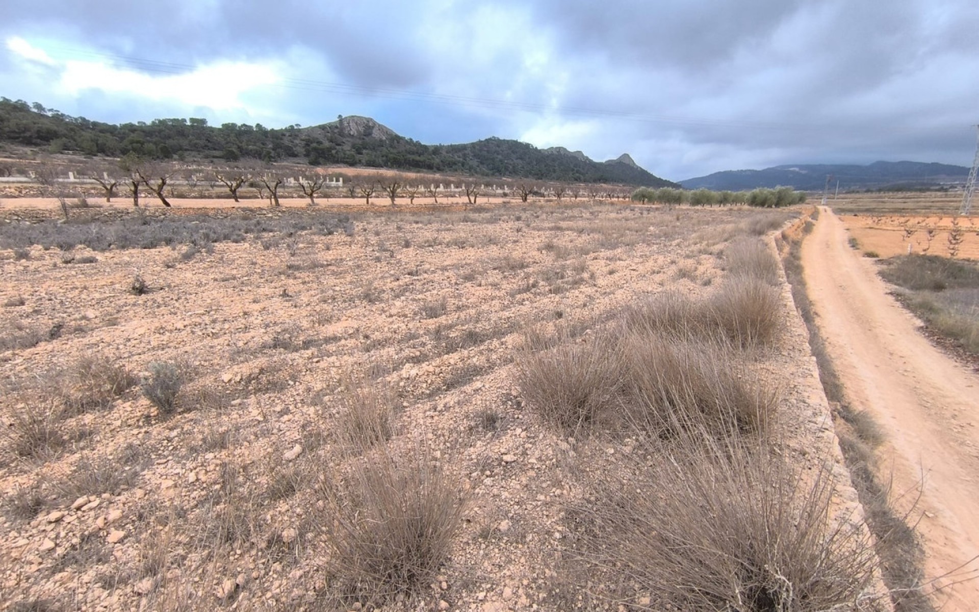 zum Verkauf - Land - Jalon - La Solana