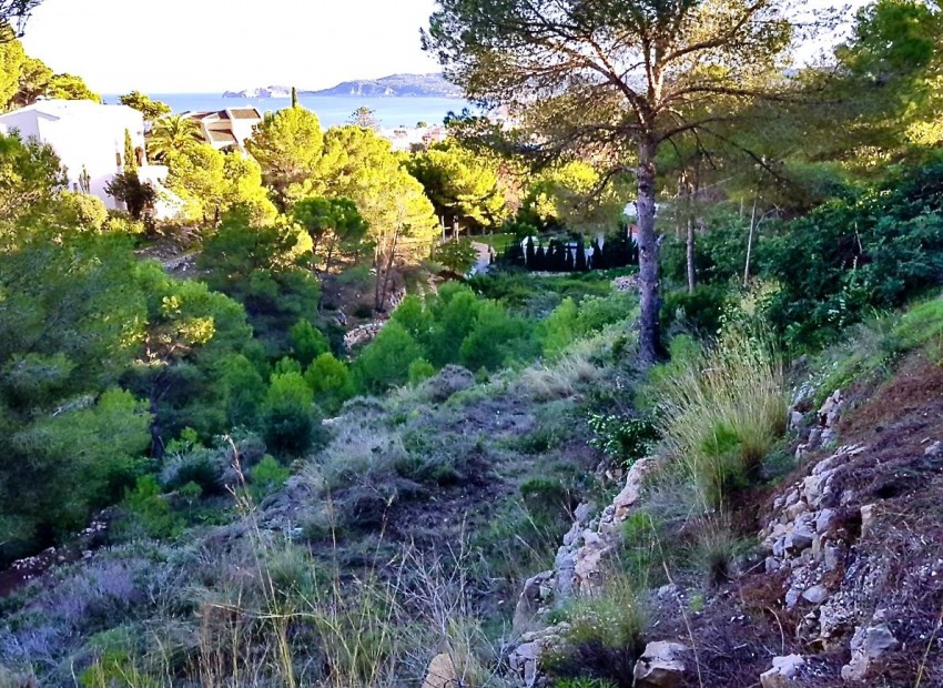 zum Verkauf - Land - Jávea - Xàbia - Jávea - Xàbia Centro