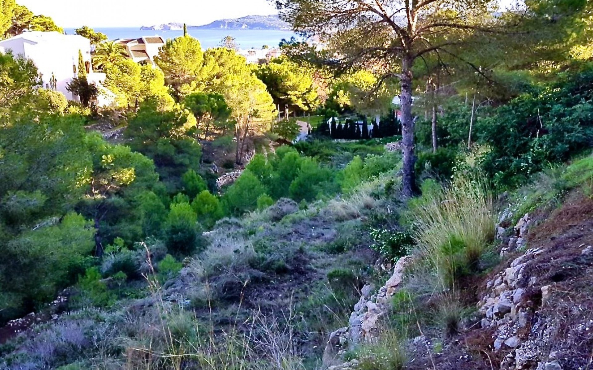 zum Verkauf - Land - Jávea - Xàbia - Jávea - Xàbia Centro