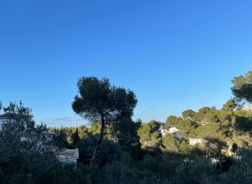 zum Verkauf - Land - Jávea - Xàbia - Jávea - Xàbia Centro