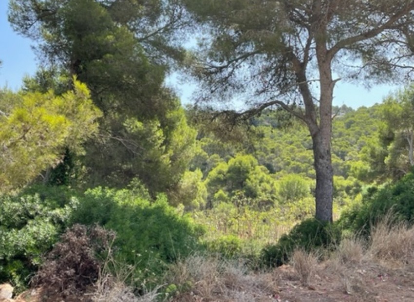 zum Verkauf - Land - Jávea - Xàbia - Jávea - Xàbia Centro