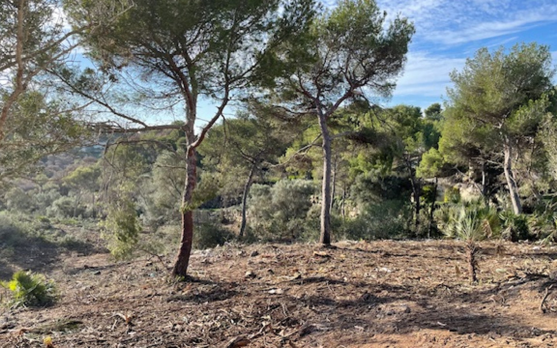 zum Verkauf - Land - Jávea - Xàbia - Jávea - Xàbia Centro