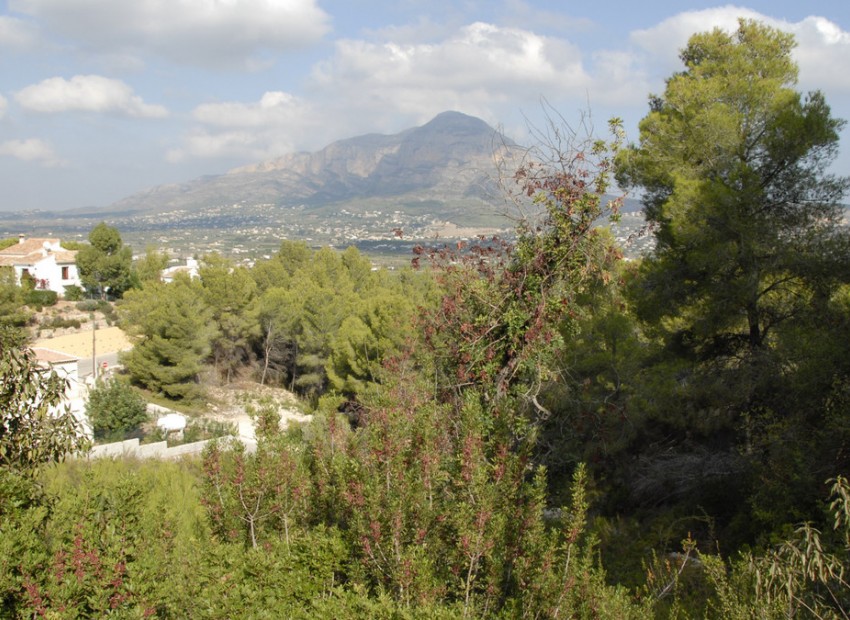 zum Verkauf - Land - Jávea - Xàbia - Jávea - Xàbia Centro