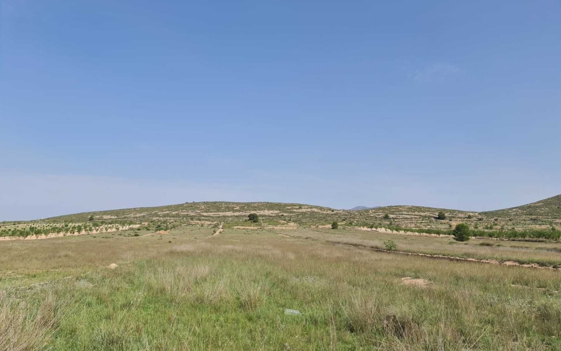 zum Verkauf - Land - Jumilla - Jumilla Centro