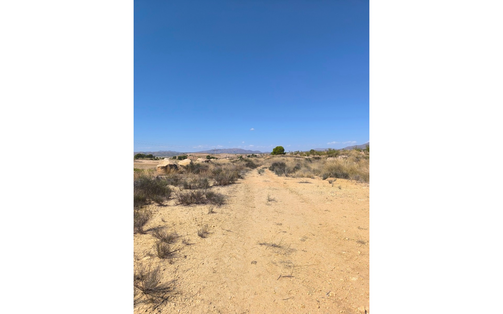 zum Verkauf - Land - Jumilla - Jumilla Centro