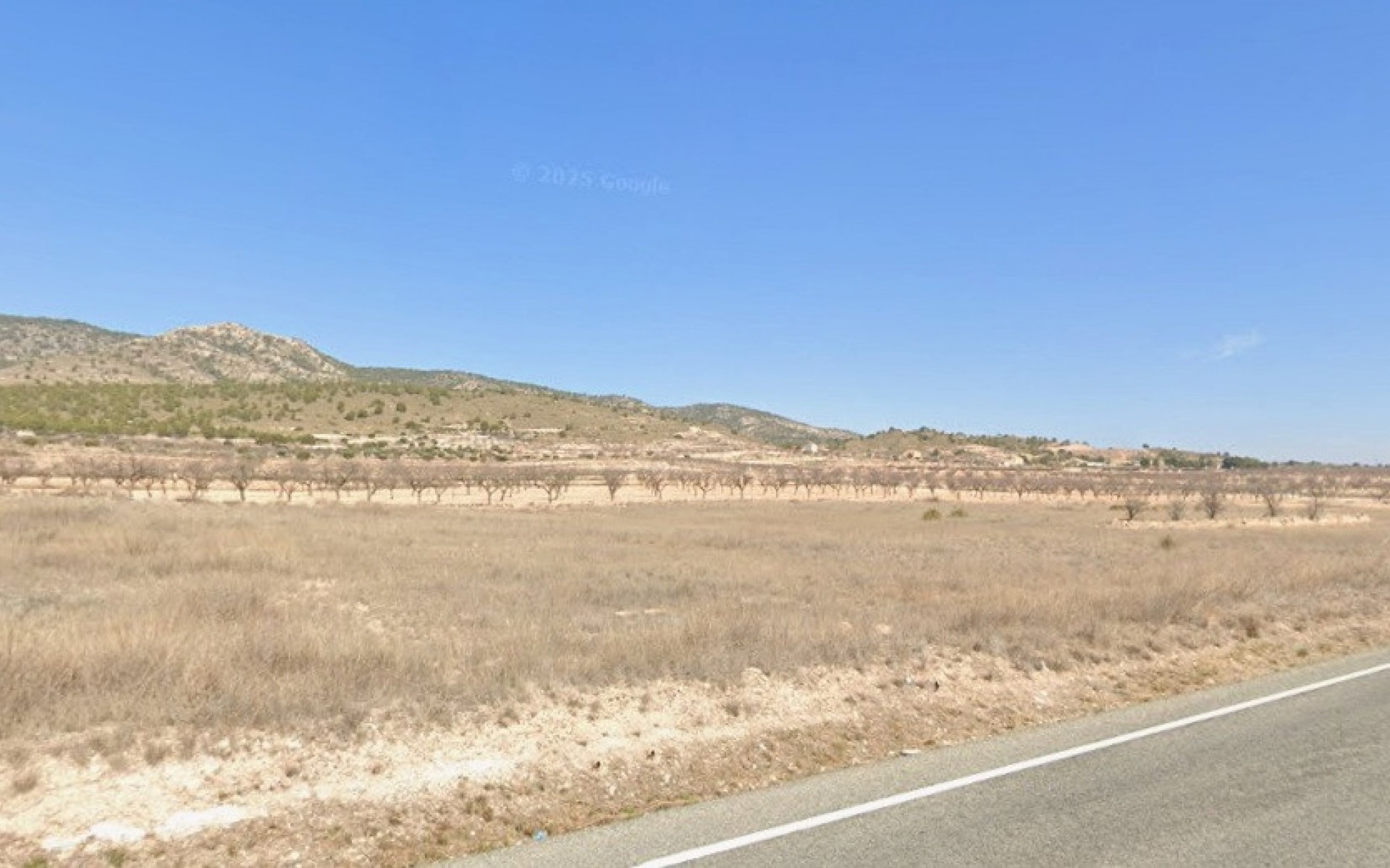 zum Verkauf - Land - Jumilla - Jumilla Centro