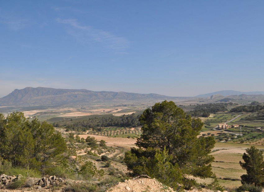 zum Verkauf - Land - Jumilla - La Zarza