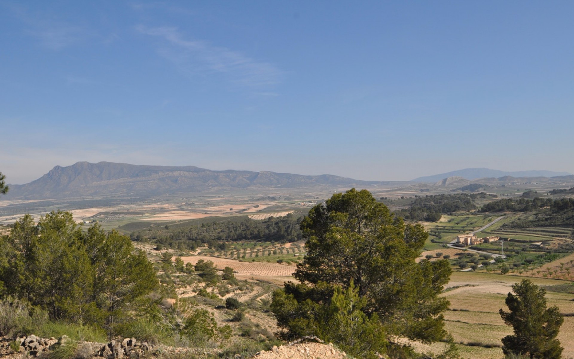 zum Verkauf - Land - Jumilla - La Zarza