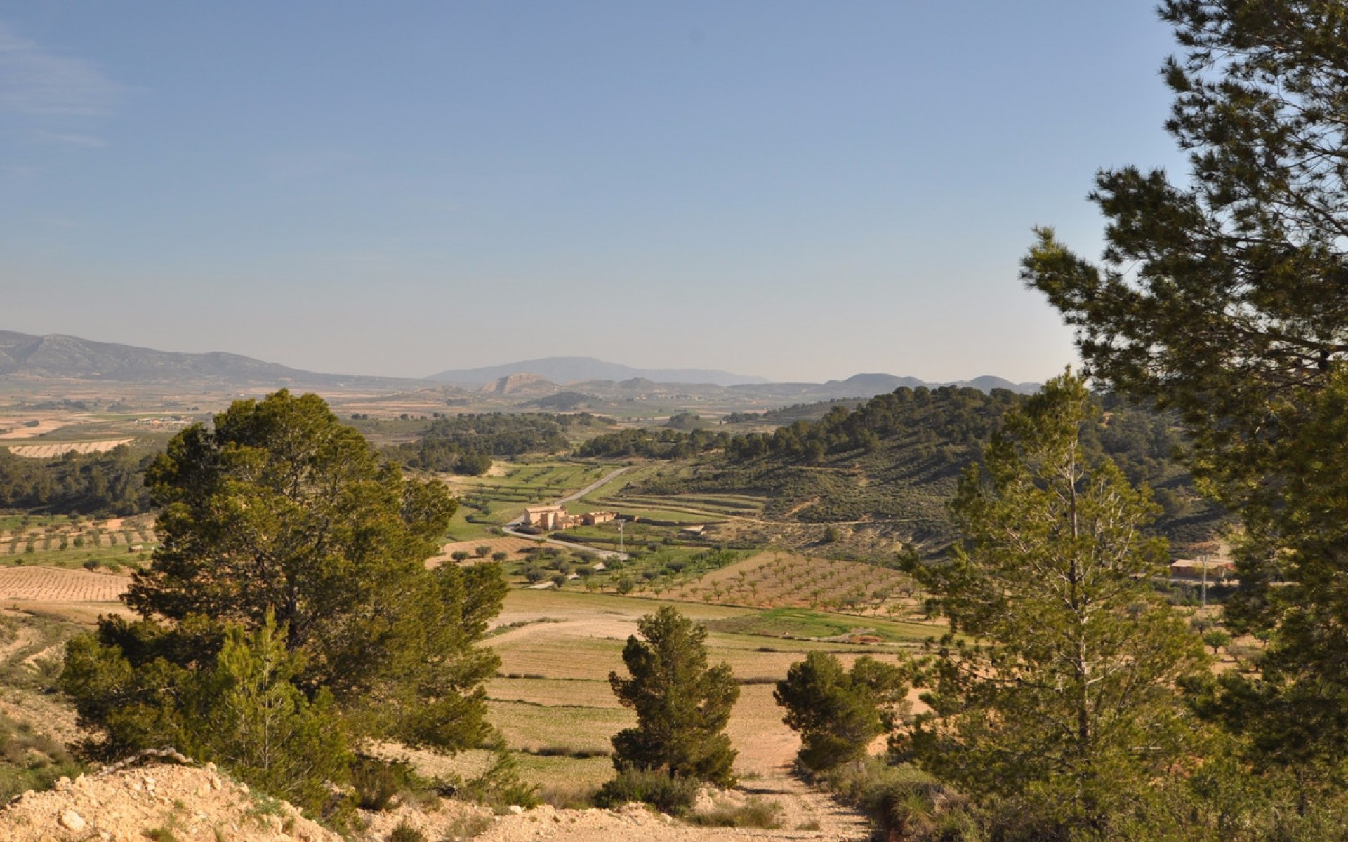 zum Verkauf - Land - Jumilla - La Zarza