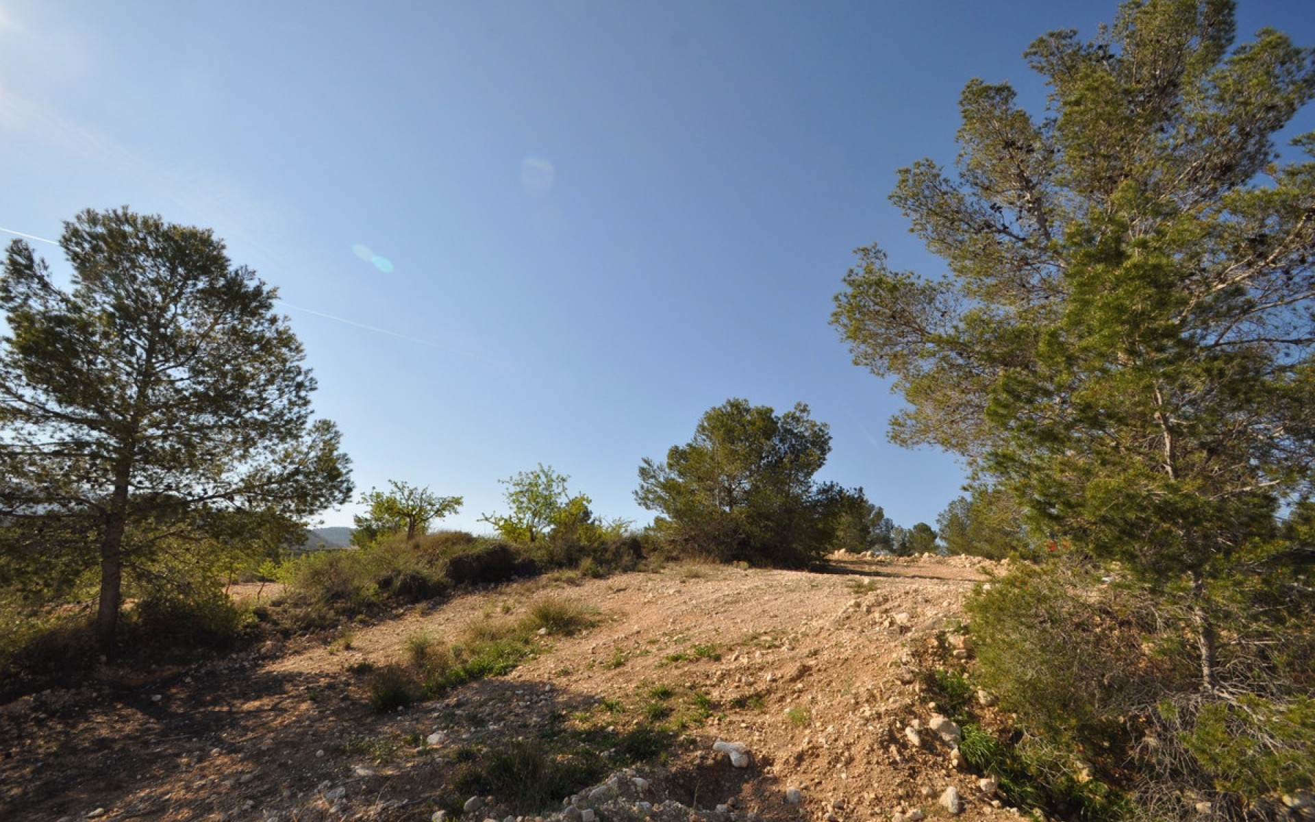 zum Verkauf - Land - Jumilla - La Zarza
