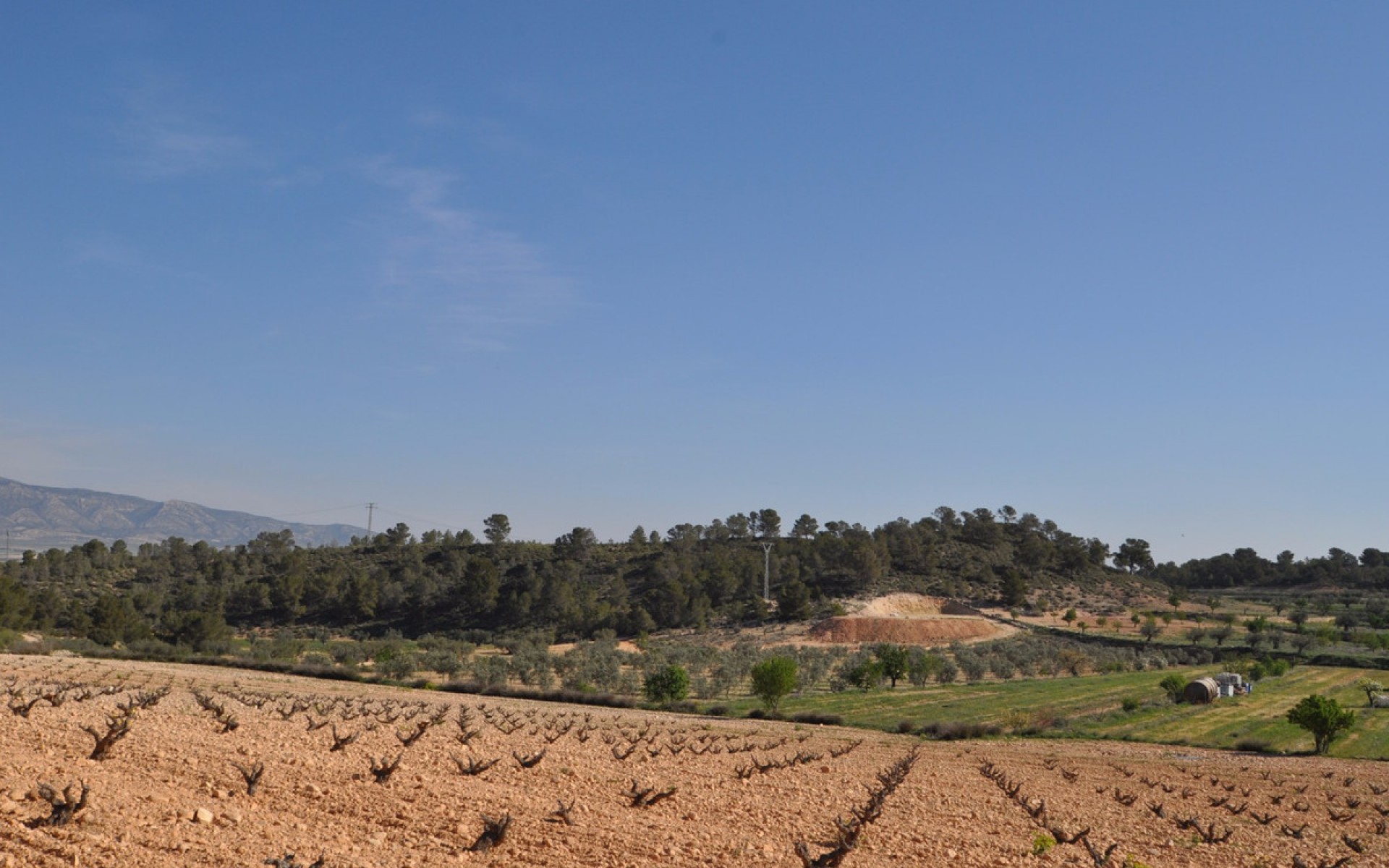 zum Verkauf - Land - Jumilla - La Zarza