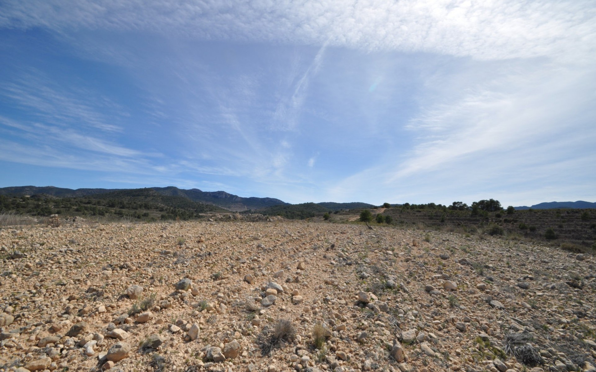 zum Verkauf - Land - Jumilla - La Zarza