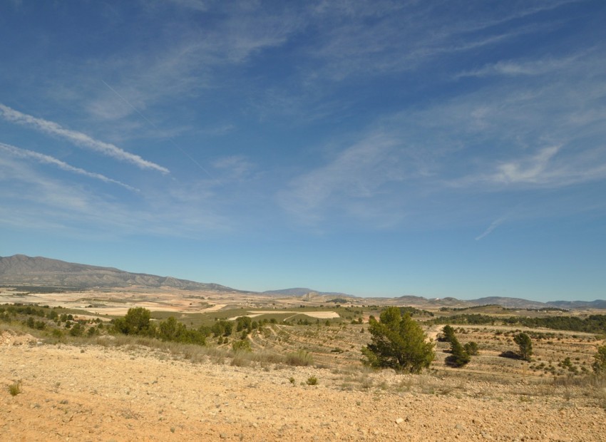 zum Verkauf - Land - Jumilla - La Zarza