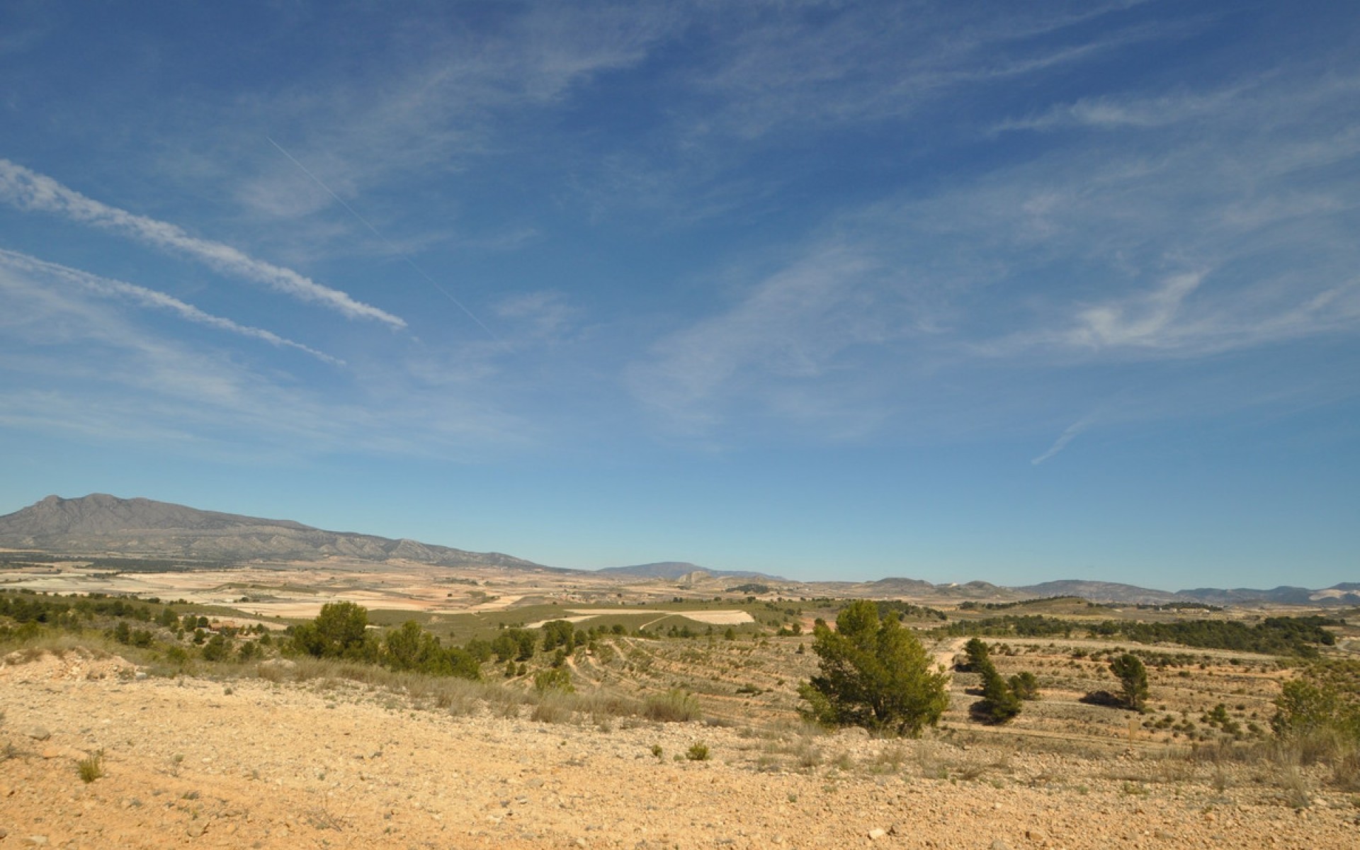 zum Verkauf - Land - Jumilla - La Zarza
