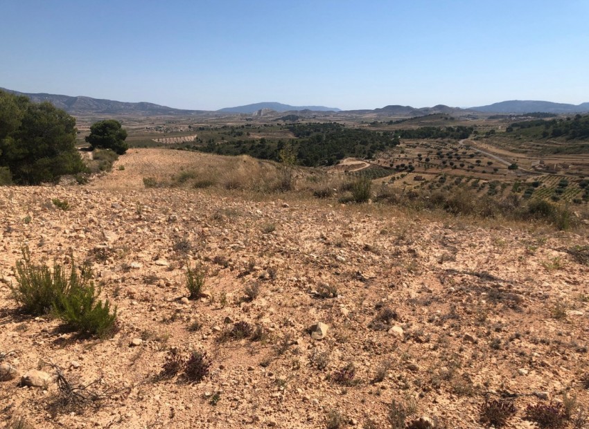 zum Verkauf - Land - Jumilla - La Zarza