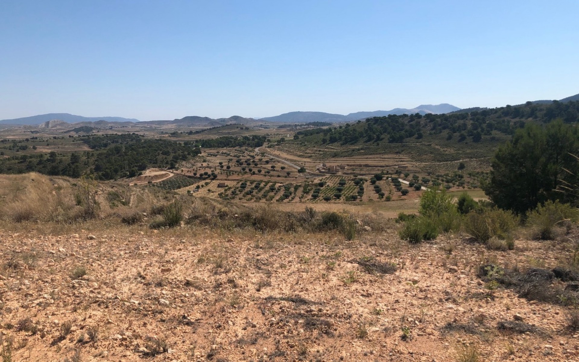 zum Verkauf - Land - Jumilla - La Zarza