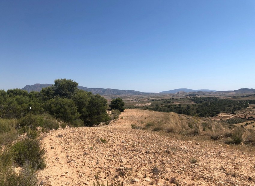 zum Verkauf - Land - Jumilla - La Zarza