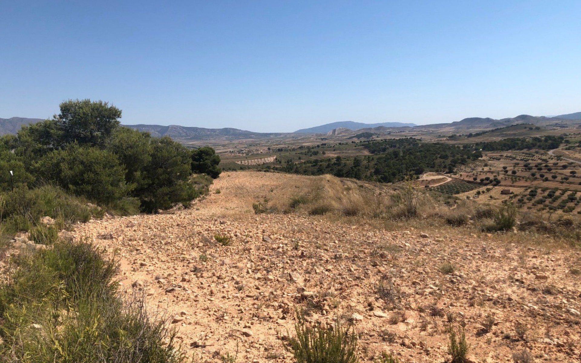 zum Verkauf - Land - Jumilla - La Zarza