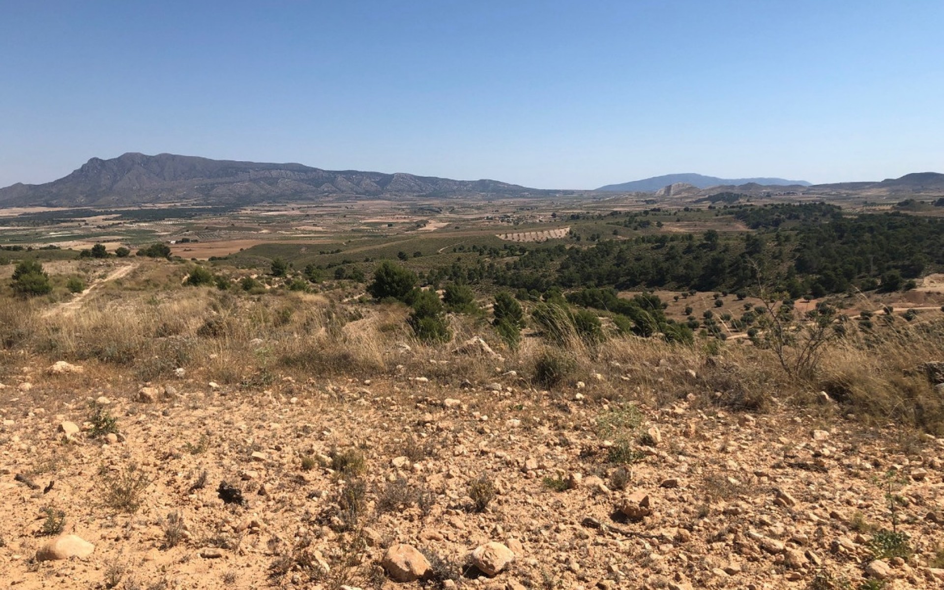 zum Verkauf - Land - Jumilla - La Zarza