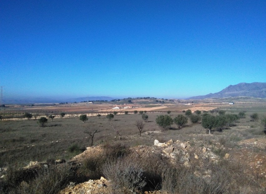 zum Verkauf - Land - Jumilla - Torre del Rico