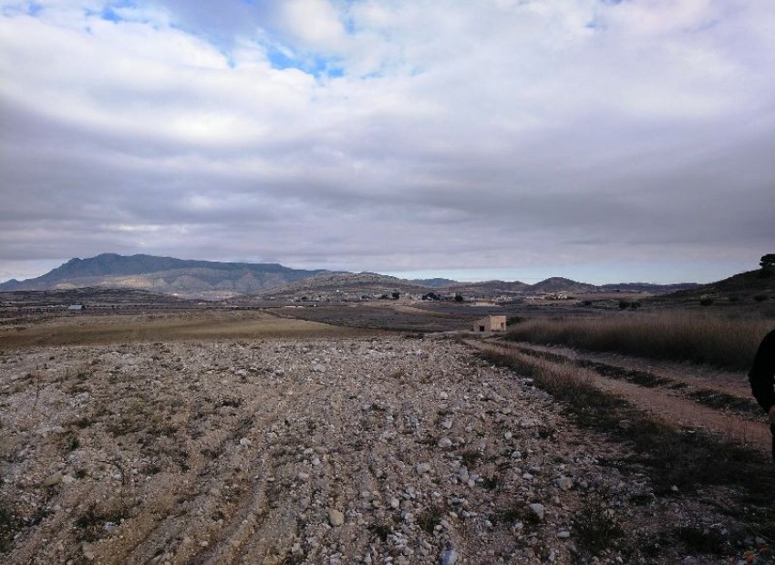 zum Verkauf - Land - Jumilla - Torre del Rico