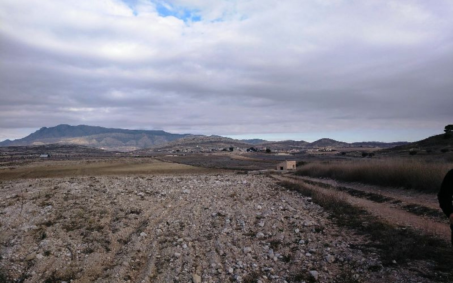 zum Verkauf - Land - Jumilla - Torre del Rico