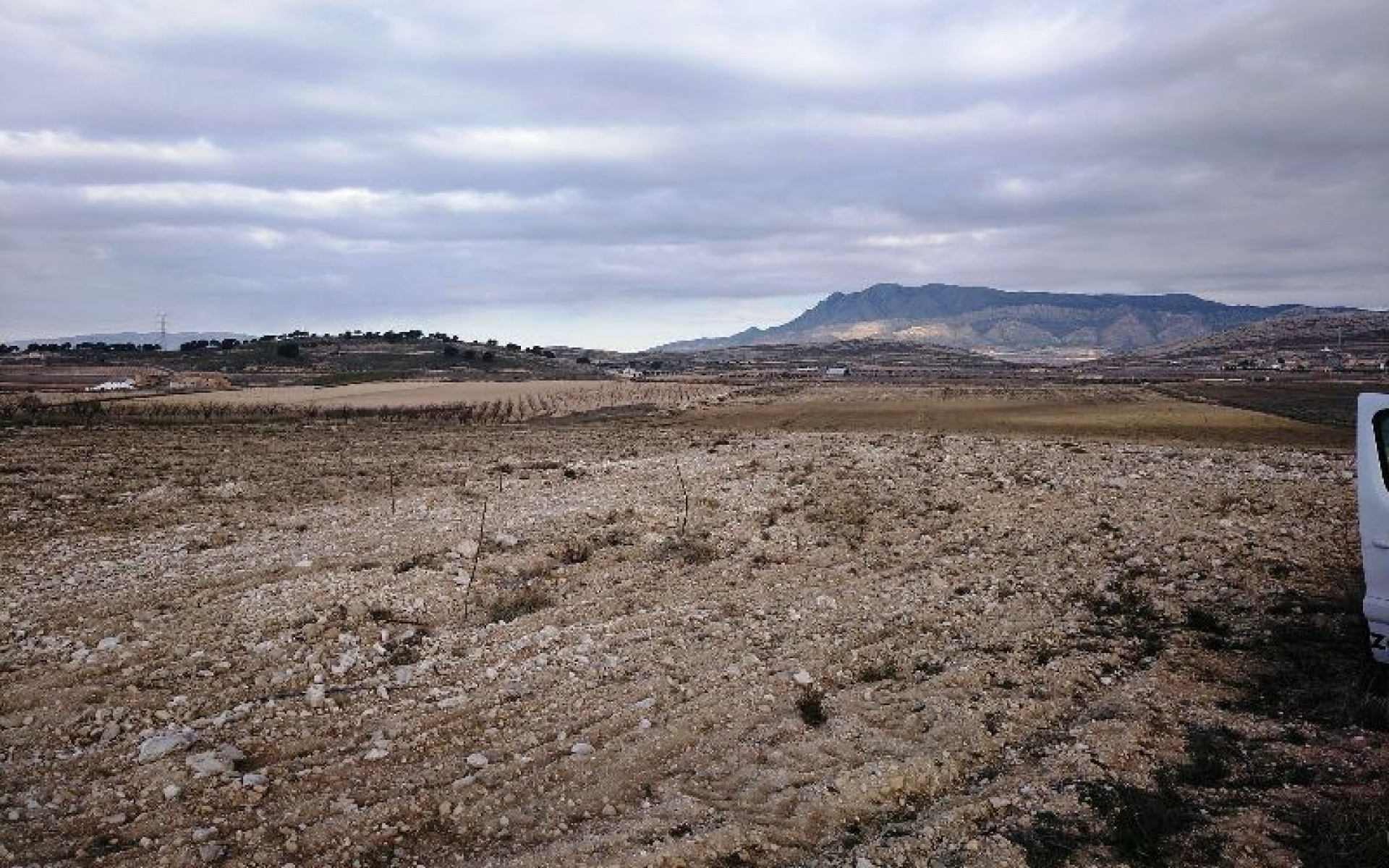 zum Verkauf - Land - Jumilla - Torre del Rico
