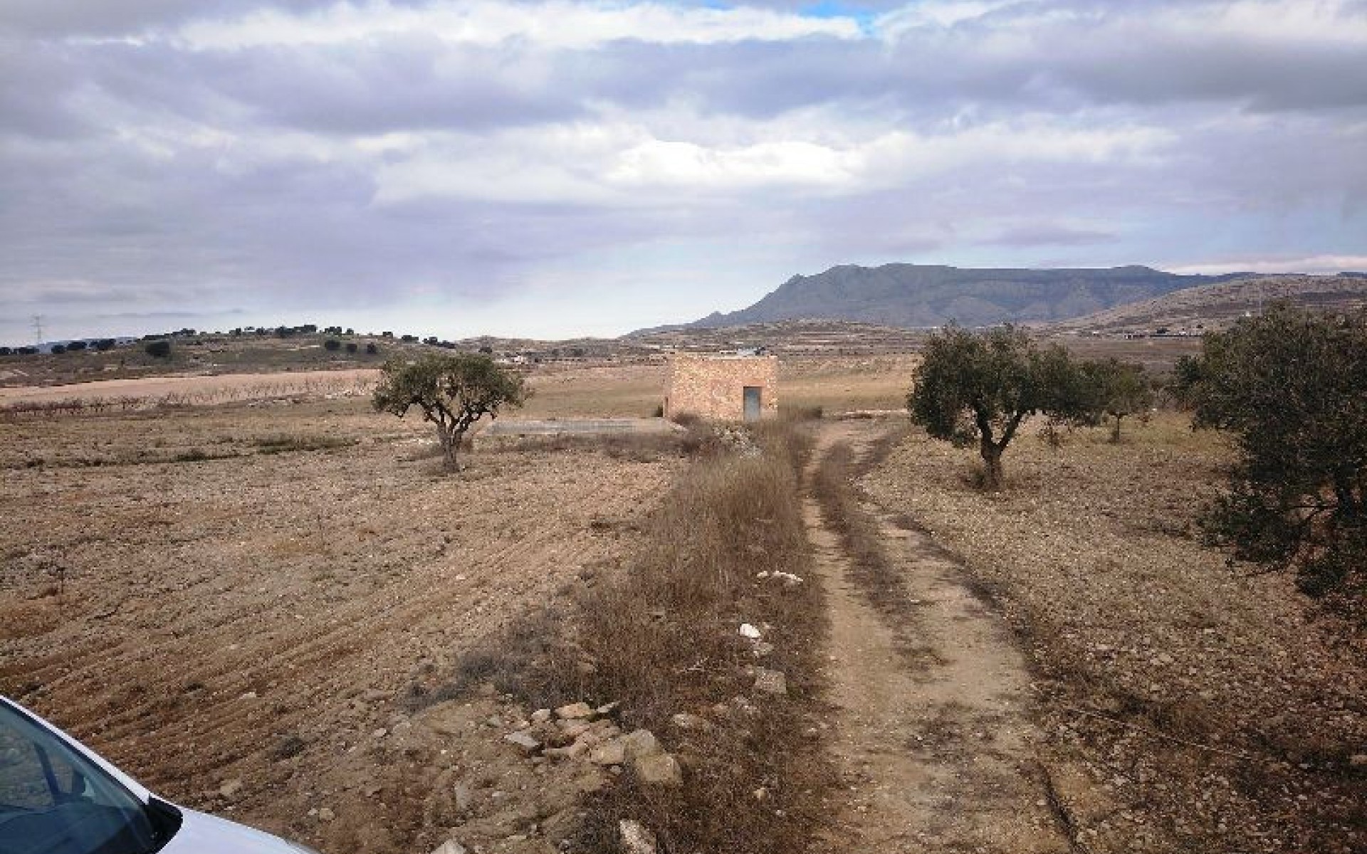 zum Verkauf - Land - Jumilla - Torre del Rico