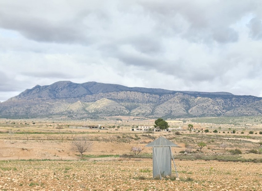 zum Verkauf - Land - Jumilla - Torre del Rico