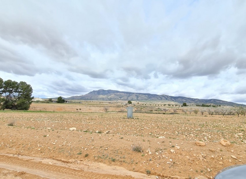 zum Verkauf - Land - Jumilla - Torre del Rico