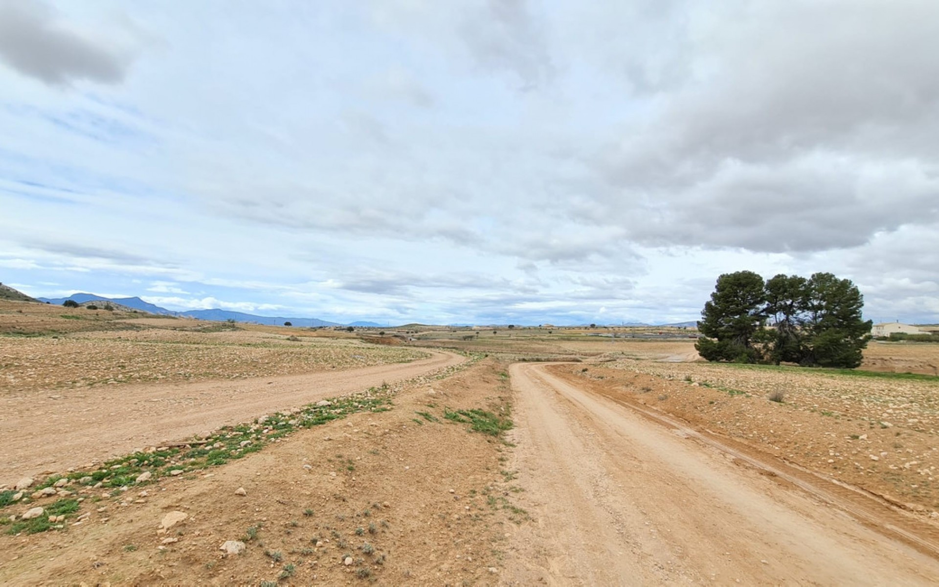 zum Verkauf - Land - Jumilla - Torre del Rico